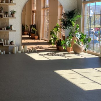 Jungle - Yoga Near Me - Dallas, Texas Jungle - Yoga Near Me - Dallas, Texas