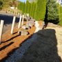 Photo of Bright Green Landscaping