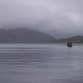 Scottish Sealife Centre - Pppreettyyy - Kids Activities Near Me - Oban, AGB