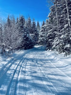 Golden Eagle Lodge by null