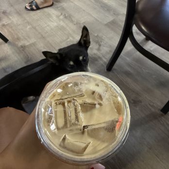 The Lab Tampa - Iced Pumpkin Latte - Coffee Roasteries Near Me - Tampa, Florida The Lab Tampa - Iced Pumpkin Latte - Coffee Roasteries Near Me - Tampa, Florida