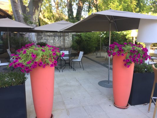 Hôtel de l'Image by null