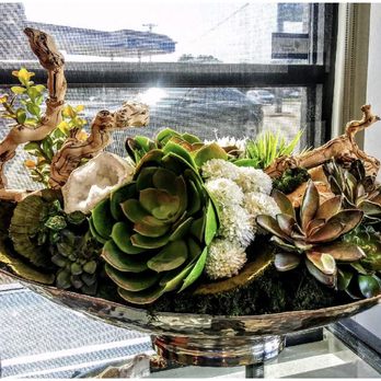 Colby Interior Designs - Custom succulent arrangement - Interior Design Near Me - Dallas, Texas Colby Interior Designs - Custom succulent arrangement - Interior Design Near Me - Dallas, Texas