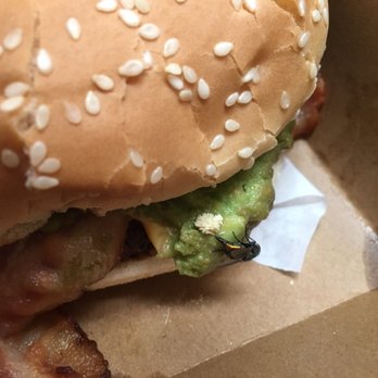 Farmer Boys - Fly in sandwich at Farmer Boys - Burgers Near Me - Riverside, California Farmer Boys - Fly in sandwich at Farmer Boys - Burgers Near Me - Riverside, California