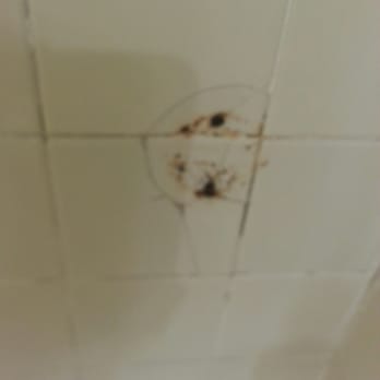 Nyack Motor Lodge - A few bathroom shots - Hotels Near Me - West Nyack, New York Nyack Motor Lodge - A few bathroom shots - Hotels Near Me - West Nyack, New York