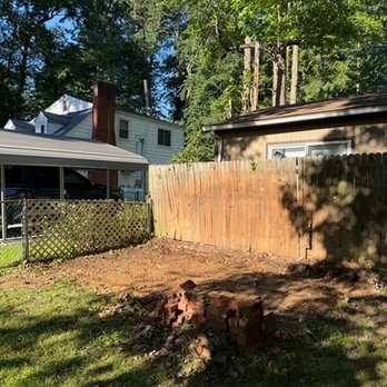 All Times Removal - After shes removal - Tree Services Near Me All Times Removal - After shes removal - Tree Services Near Me