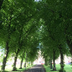 Harrison Park - Summer time!