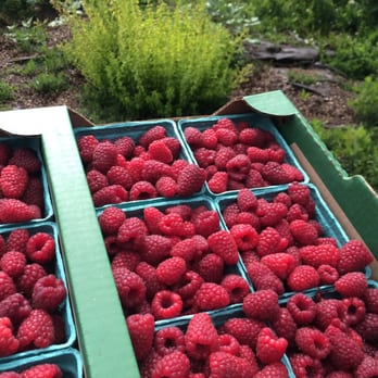 Grandpa's Fresh Market - a flat of tasty raspberries for fabulous jam! - Farmers Market Near Me - Albany, Oregon Grandpa's Fresh Market - a flat of tasty raspberries for fabulous jam! - Farmers Market Near Me - Albany, Oregon