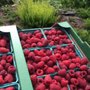 Photo of Grandpa's Fresh Market