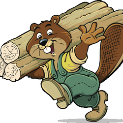 CT Firewood - Buy it where you Burn it.