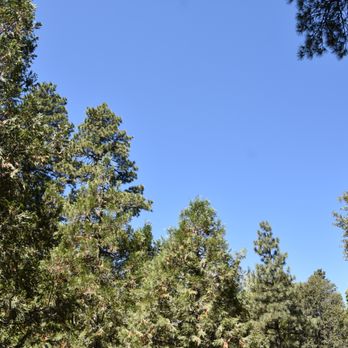 The Idyllwild Bunkhouse - View from back deck - Hotels Near Me - Idyllwild, California The Idyllwild Bunkhouse - View from back deck - Hotels Near Me - Idyllwild, California