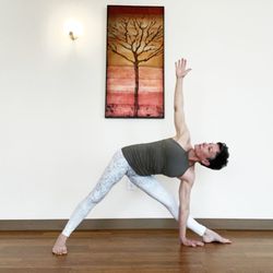 The Yoga Connection - Martha Catz, M.S., C-IAYT, E-RYT 500, YACEP - Owner/Director