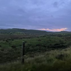 Sea Breezes - On the way back to the cowshed from sea breeze's restaurant