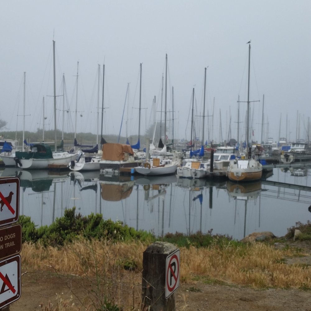 Morro Bay State Park - The Marina - Beaches Near Me - Morro Bay, California Morro Bay State Park - The Marina - Beaches Near Me - Morro Bay, California
