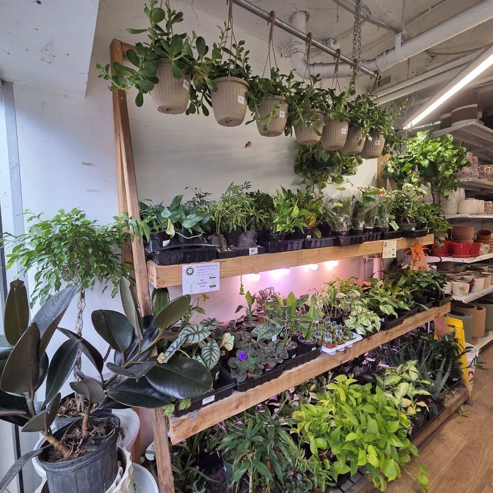 Glover Park Ace Hardware - Amazing plant selection! - Hardware Stores Near Me - Washington, DC, District of Columbia