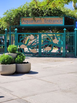 ABQ BioPark Aquarium by null