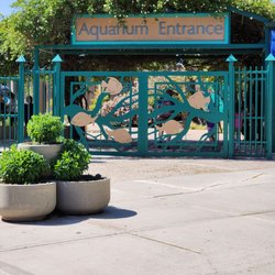 ABQ BioPark Aquarium
