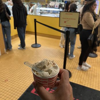 Motoretta Gelato - Tiramisu and Hazelnut - Ice Cream & Frozen Yogurt Near Me - Vancouver, British Columbia