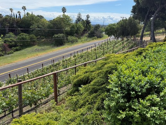 Elleary Wine Tasting Room by null