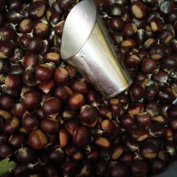 Pomar do Vale - Charcutaria - Grocery Near Me - Lisbon, 11