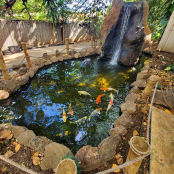 Tropics Mini Golf - Koi pond. - Mini Golf Near Me - Aiea, Hawaii