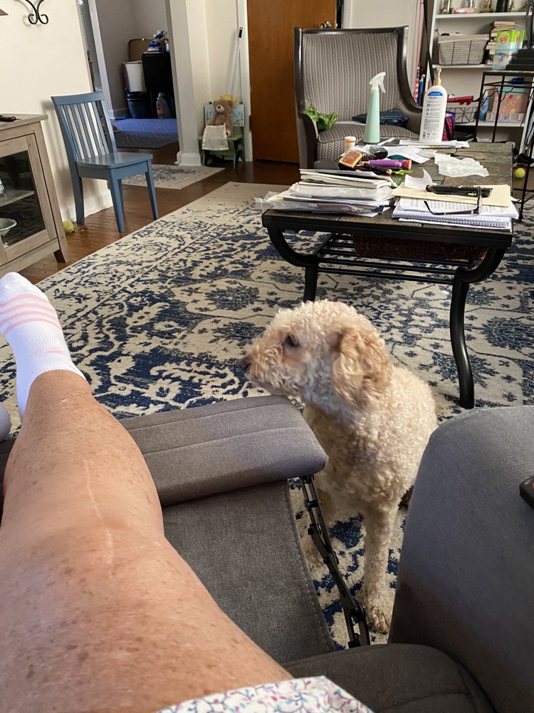 Naudain Montessori Academy - social services organization in Voorhees, NJ