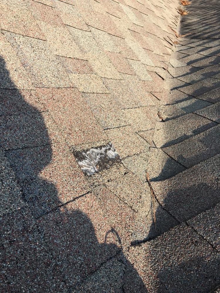 Slide of Professional Roofing