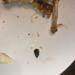 Deep fried bug ??