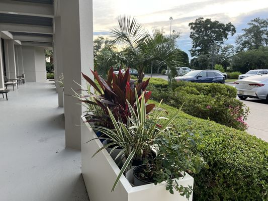 Marriott Jacksonville by null