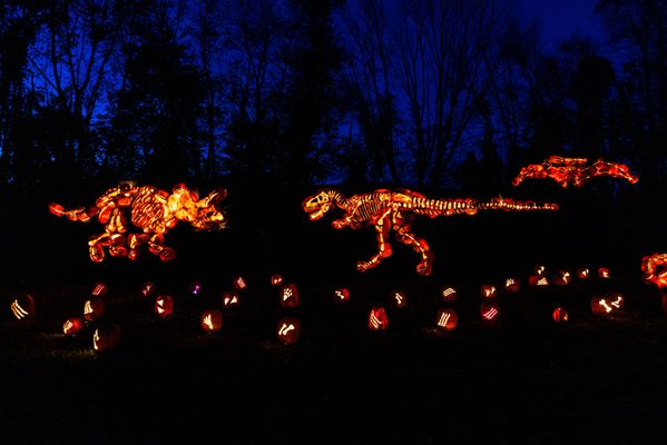 Skylands Stadium by null