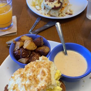 Biscuit Head - Fried Bologna Benedict top The Filthy Animal bottom - Cafes Near Me - Asheville, North Carolina Biscuit Head - Fried Bologna Benedict top The Filthy Animal bottom - Cafes Near Me - Asheville, North Carolina