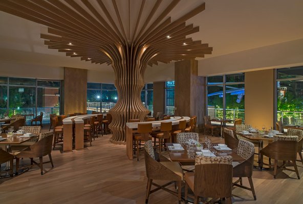 The Westin at The Woodlands® by null