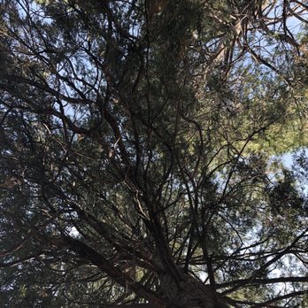 Old Oak Ranch - Venues & Event Spaces Near Me - Sonora, California