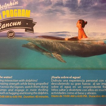 Dolphinaris - Arts & Entertainment Near Me - Cancún, ROO