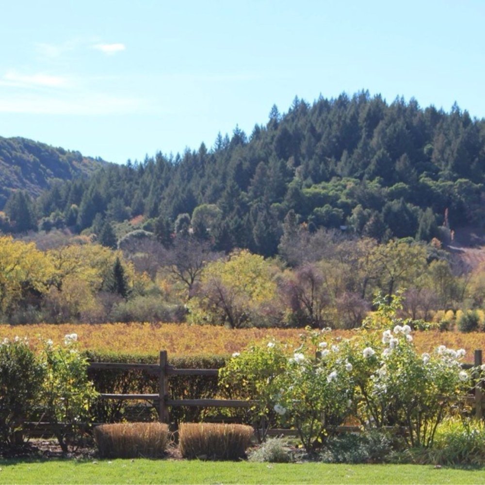 Dutcher Crossing Winery - Wineries Near Me - Geyserville, California