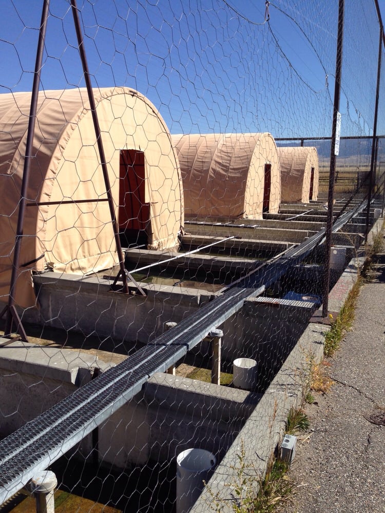 JACKSON NATIONAL FISH HATCHERY Public Services & Government 1500 E