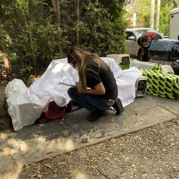 Family Veterinary - Dr. Shukman helps so many people and animals by doing our clinics for Animals In need Rescue Network! - Veterinarians Near Me Family Veterinary - Dr. Shukman helps so many people and animals by doing our clinics for Animals In need Rescue Network! - Veterinarians Near Me