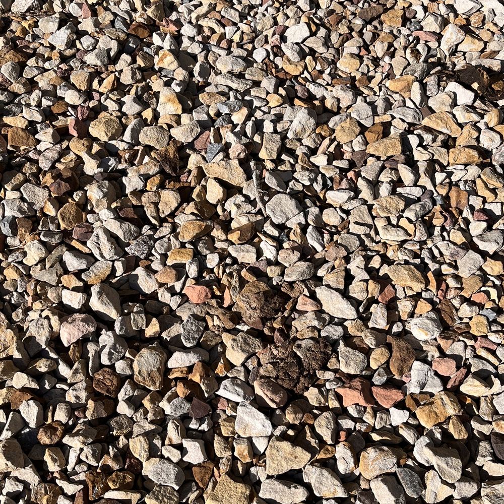 Camden Flatirons Apartments - More dog poop - Apartments Near Me - Broomfield, Colorado Camden Flatirons Apartments - More dog poop - Apartments Near Me - Broomfield, Colorado