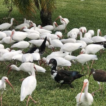 Oak Lake Park - Parks Near Me - Hollywood, Florida Oak Lake Park - Parks Near Me - Hollywood, Florida