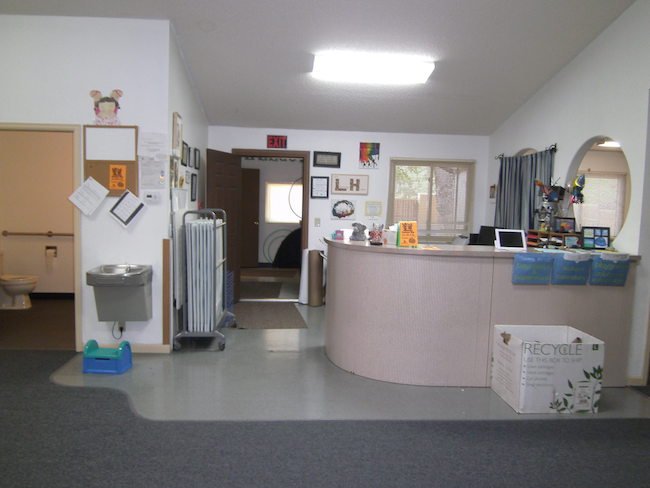 Little Lab Preschool - childcare center in Fort Collins, CO