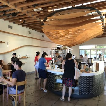Dinosaur Coffee - Coffee & Tea Near Me - Los Angeles, California Dinosaur Coffee - Coffee & Tea Near Me - Los Angeles, California