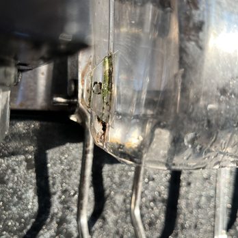 Jersey Mike's Subs - Mold growing on the ice dispenser. - Sandwiches Near Me - Clackamas, Oregon Jersey Mike's Subs - Mold growing on the ice dispenser. - Sandwiches Near Me - Clackamas, Oregon