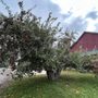 Alber Orchard & Cider Mill