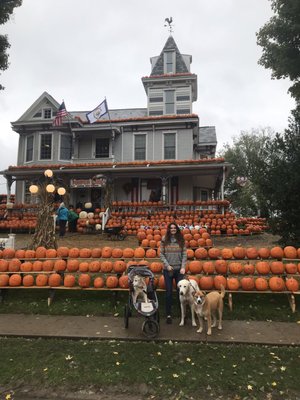 Kenova's Pumpkin House by null