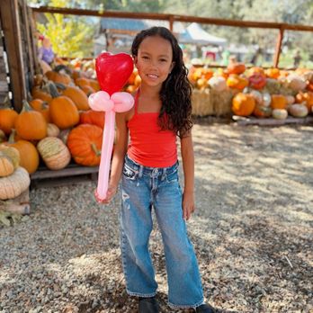 Deer Creek Farm By Compassion Planet - Home Decor Near Me - Rocklin, California Deer Creek Farm By Compassion Planet - Home Decor Near Me - Rocklin, California