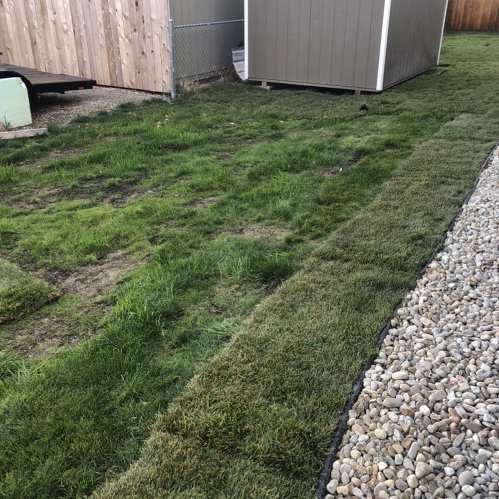 Vern's Landscape - After sod - Landscaping Near Me - Hamilton, Montana