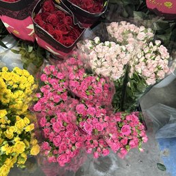 Spread roses Spread roses