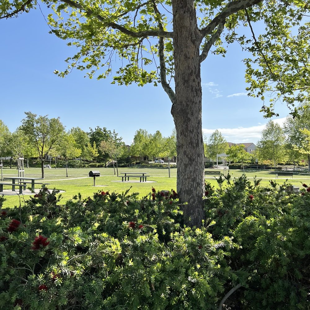 Ramona Park - Parks Near Me - San Ramon, California Ramona Park - Parks Near Me - San Ramon, California