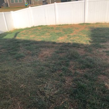 TruGreen Lawn Care - Back yard damage - note: THIS WAS BRAND NEW SOD PLANED IN MARCH 2022 - Lawn Services Near Me - Indian Trail, North Carolina TruGreen Lawn Care - Back yard damage - note: THIS WAS BRAND NEW SOD PLANED IN MARCH 2022 - Lawn Services Near Me - Indian Trail, North Carolina
