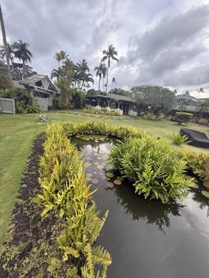 Koa Resort by null